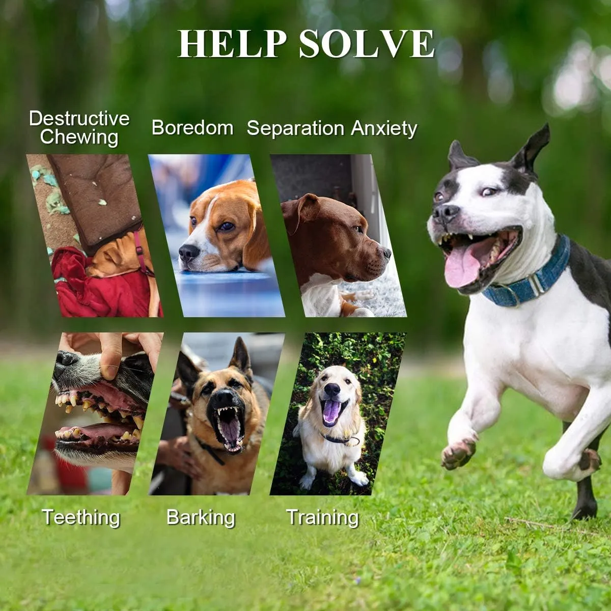 Squeaky Dog Toys for Aggressive Chewers Large Breed, Medium Dogs, Natural Durable Rubber Dog Chew Toys