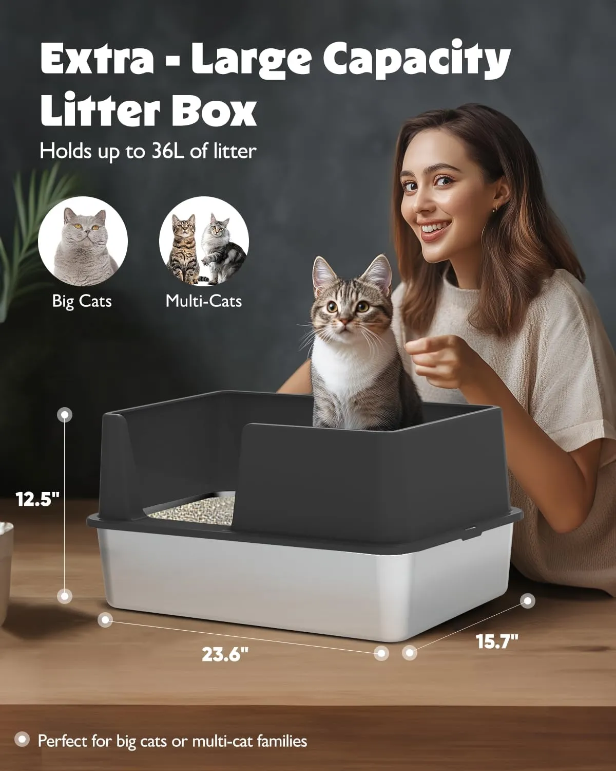 Stainless Steel Cat Litter Box with Lid, Large Metal Litter Box for Big & Multiple Kittens with High Sides, Cat Box with Litter Scoop & Litter Mat, Open Top, Anti-Leakage, Non-Sticky, Easy Cleaning