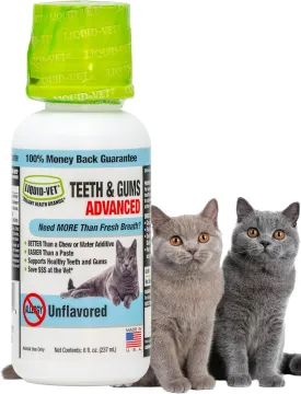 Ultimate Cat Teeth Cleaning for Comprehensive Dental Care: Freshen Bad Breath Solutions for Superior Cat Oral Hygiene and Pet Dental Health.