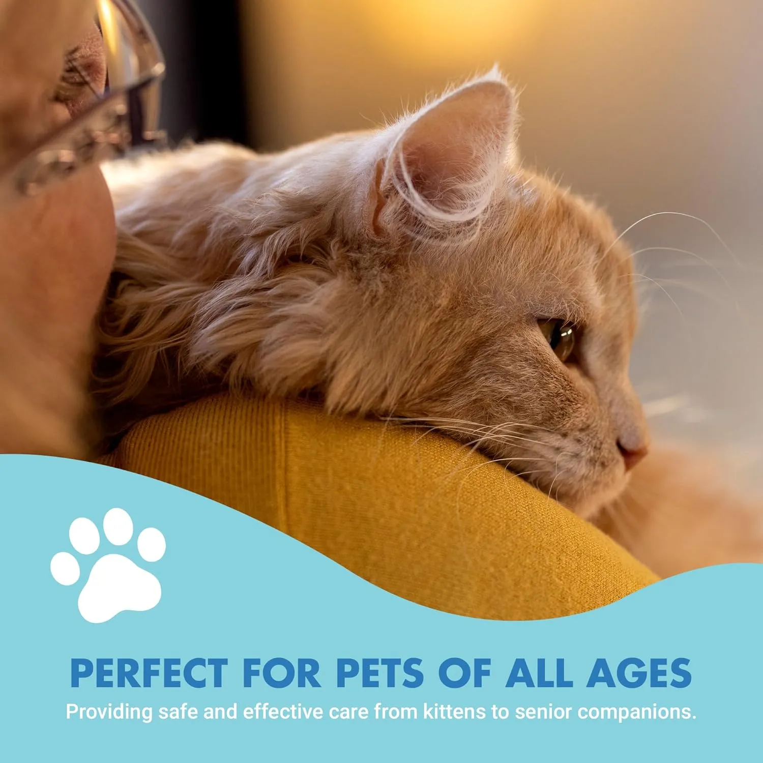 Ultimate Cat Teeth Cleaning for Comprehensive Dental Care: Freshen Bad Breath Solutions for Superior Cat Oral Hygiene and Pet Dental Health.