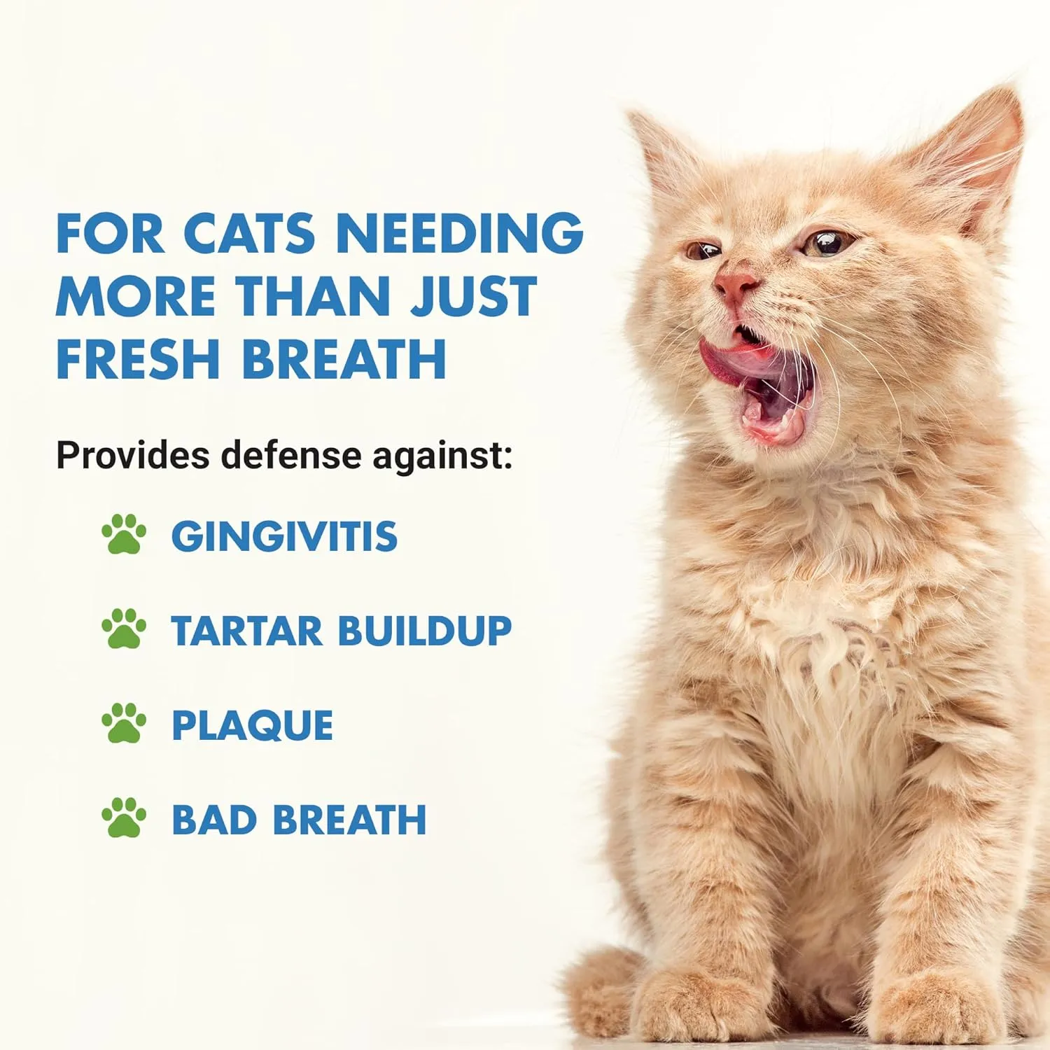 Ultimate Cat Teeth Cleaning for Comprehensive Dental Care: Freshen Bad Breath Solutions for Superior Cat Oral Hygiene and Pet Dental Health.